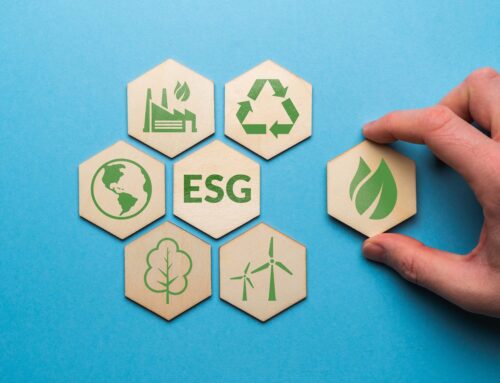 Nachhaltigkeit (ESG) – Die Notwendigkeit als Chance